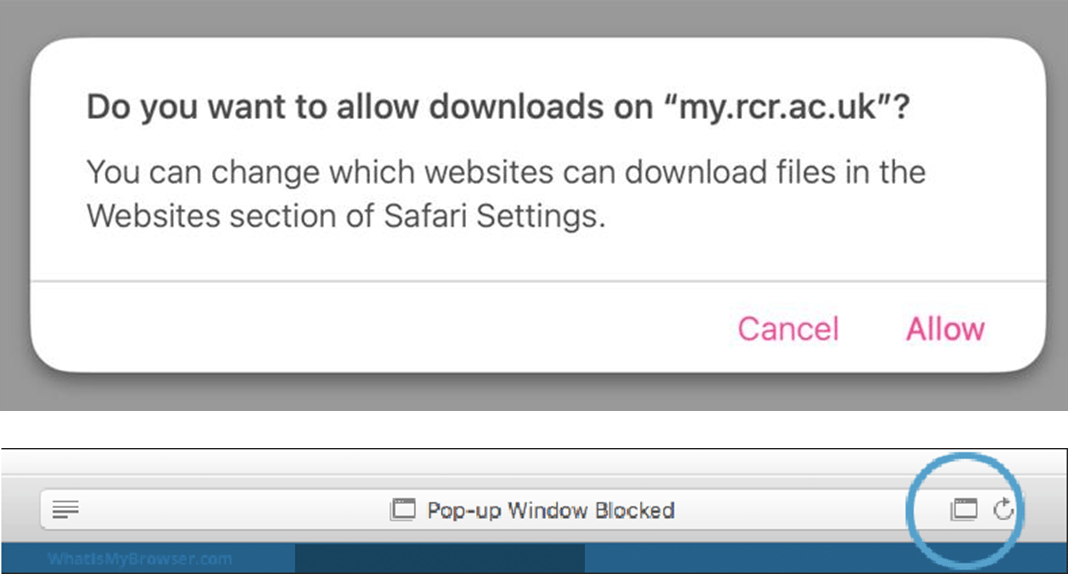 CPD allowing pop-ups for downloads